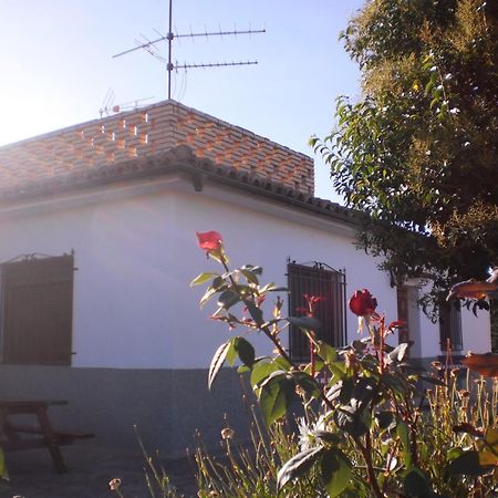 Casa Los Olivos Grávalos المظهر الخارجي الصورة